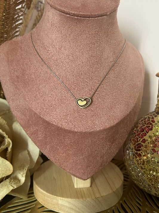 Dubbel omrande hartketting roestvrij staal eeuwige liefde: Argent|Beautiva Boutique